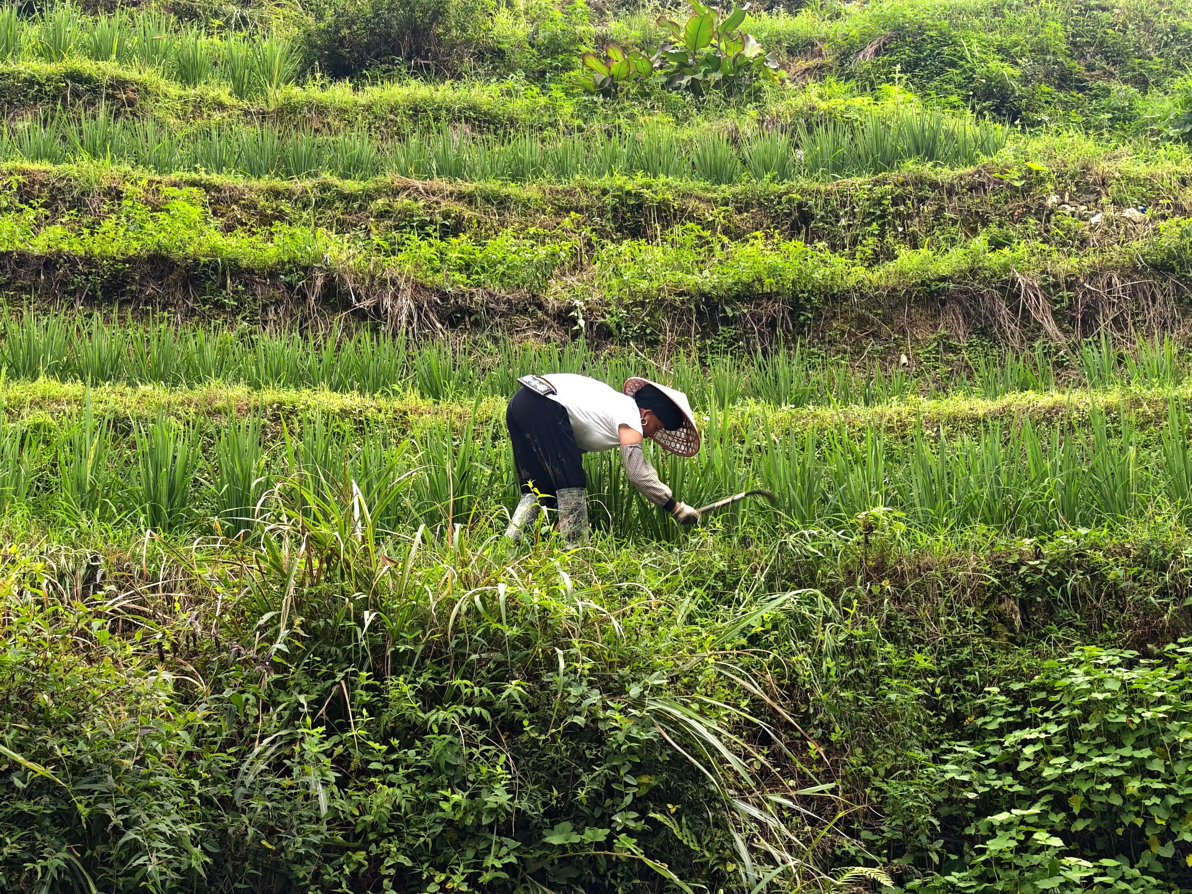 Programme – 02 jours -Ping&rsquo;an