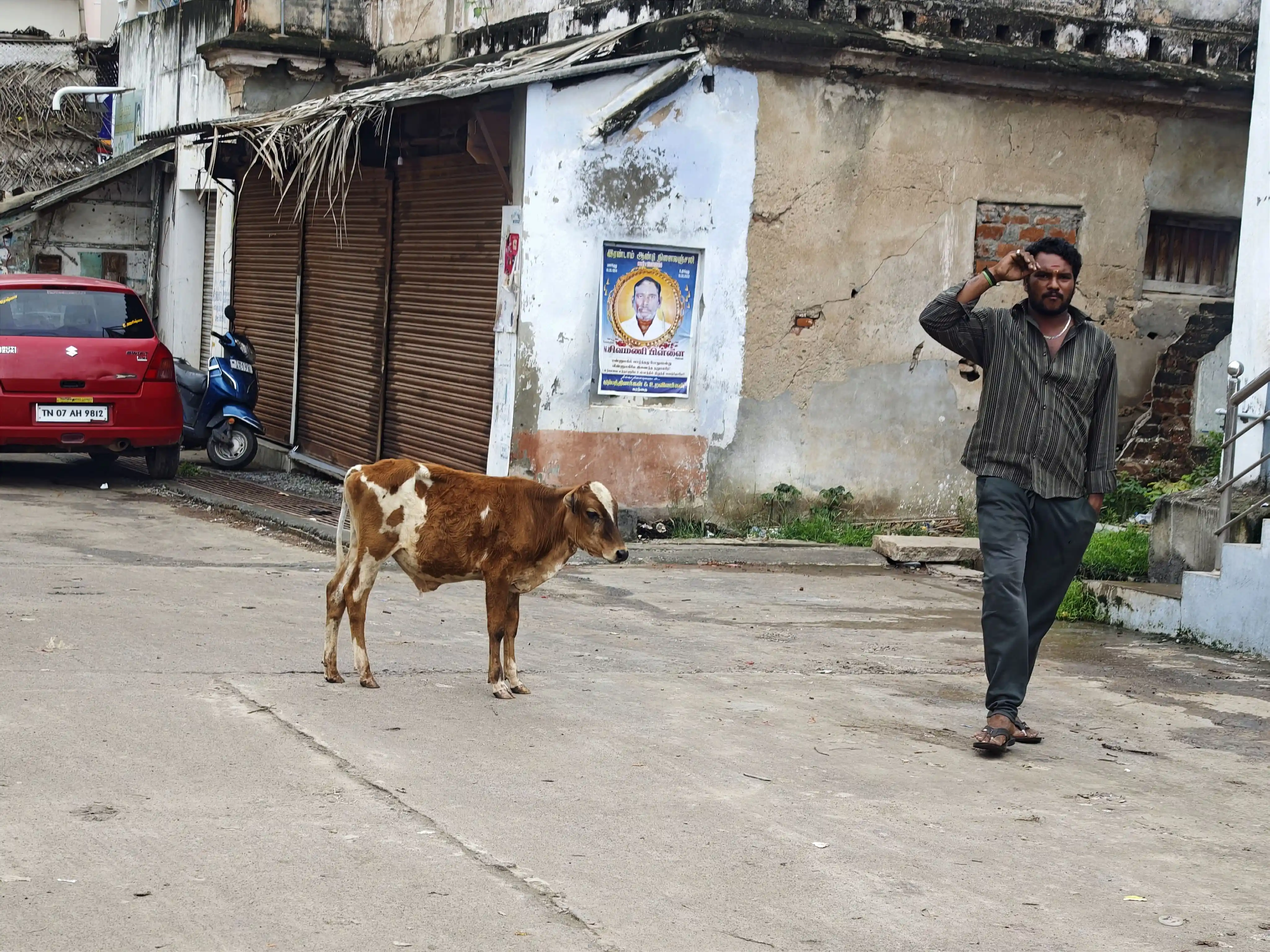 2 mois en Inde : itinéraires, budget & bilan