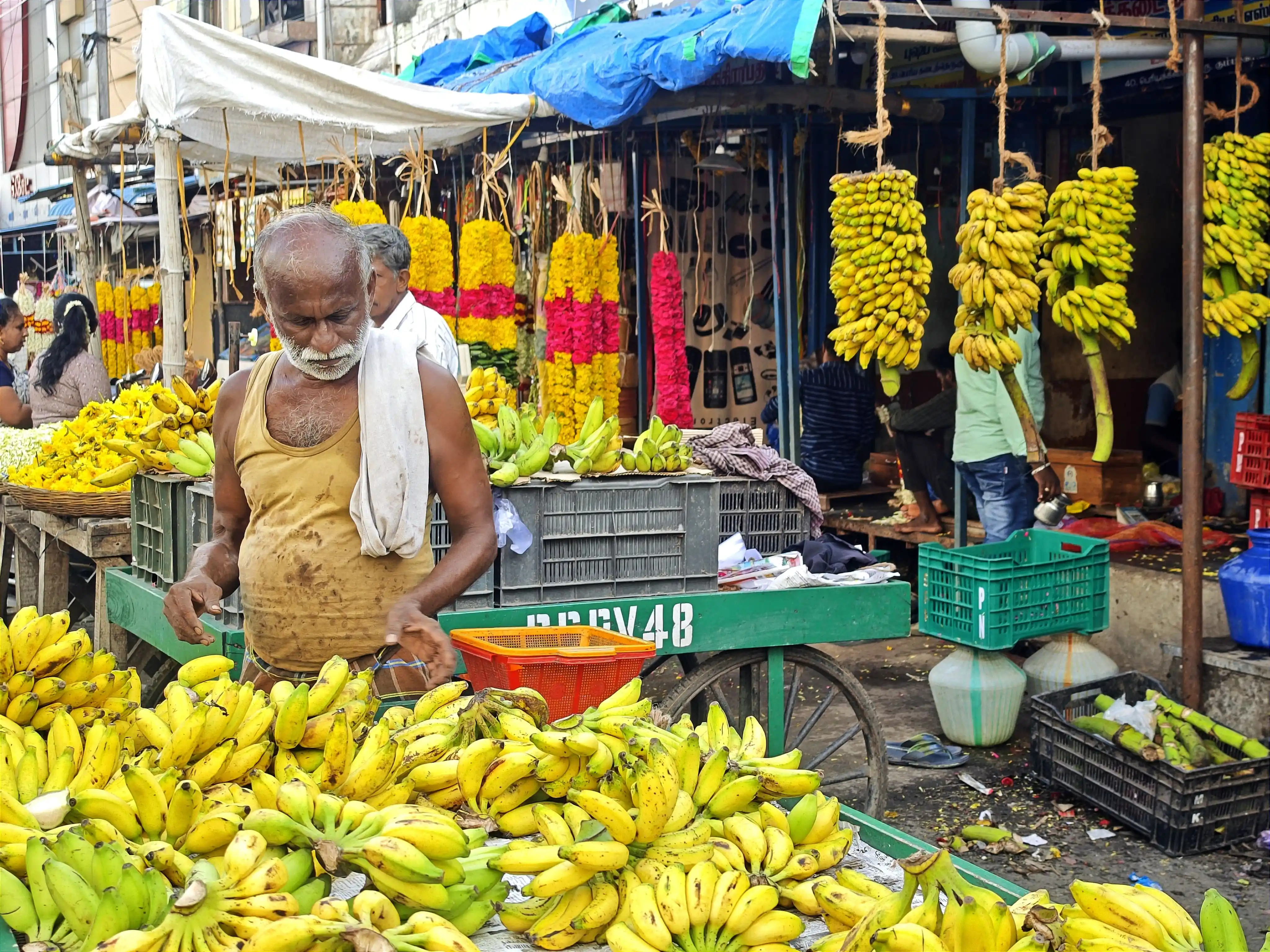 Visiter Thanjavur : incontournables et conseils pratiques